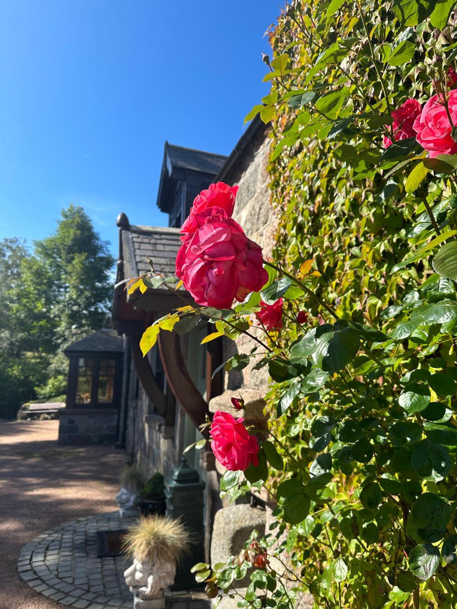 Bed and Breakfast Awakening Alchemy Retreat Centre Inverurie Exterior foto