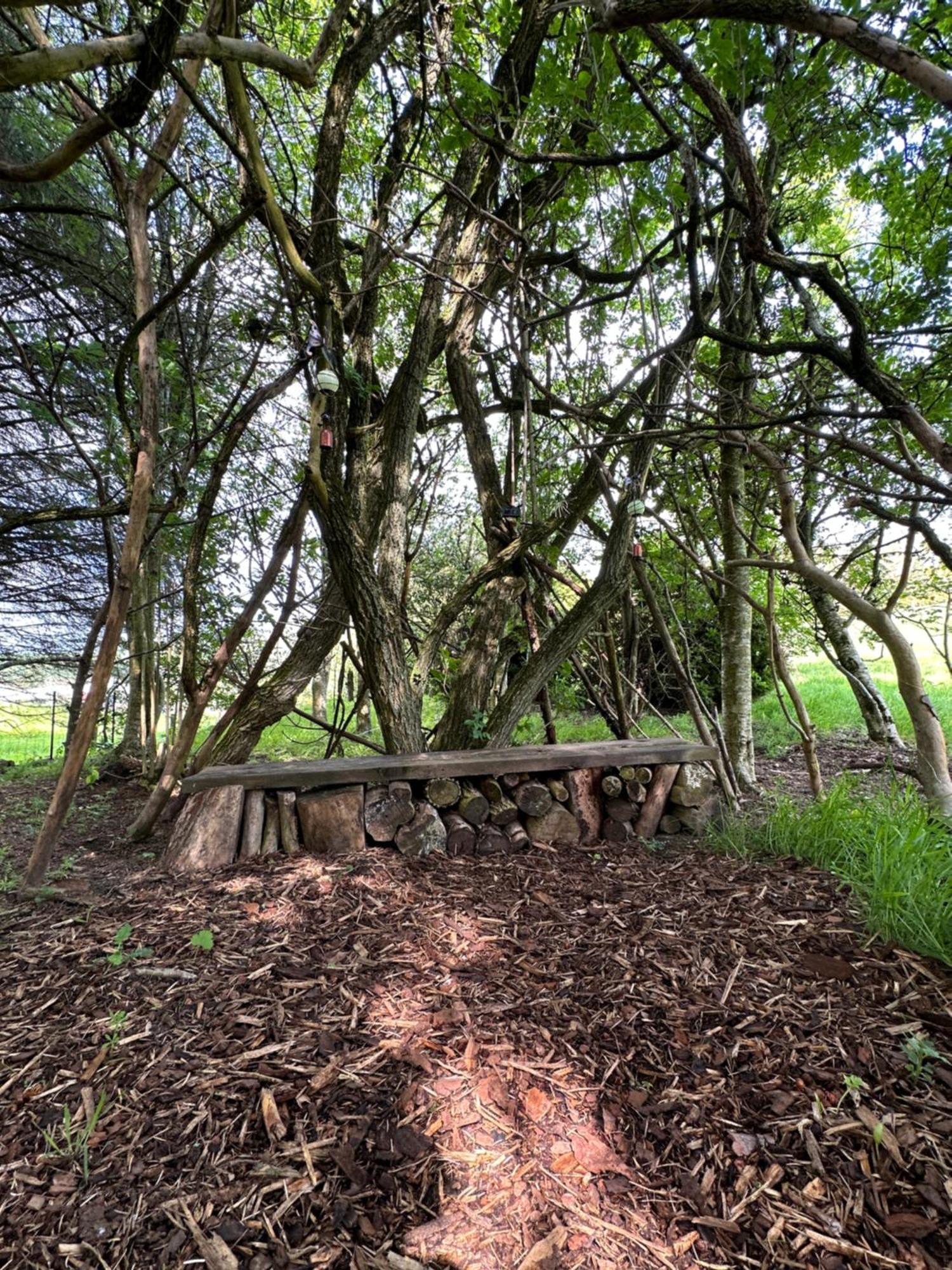 Bed and Breakfast Awakening Alchemy Retreat Centre Inverurie Exterior foto