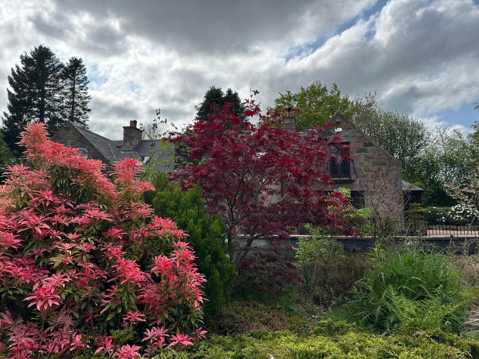 Bed and Breakfast Awakening Alchemy Retreat Centre Inverurie Exterior foto